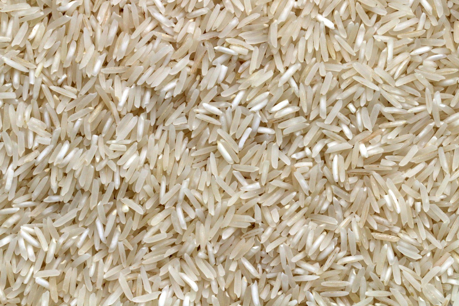 Long-grain basmati rice grains in close detail — Indian premium export quality