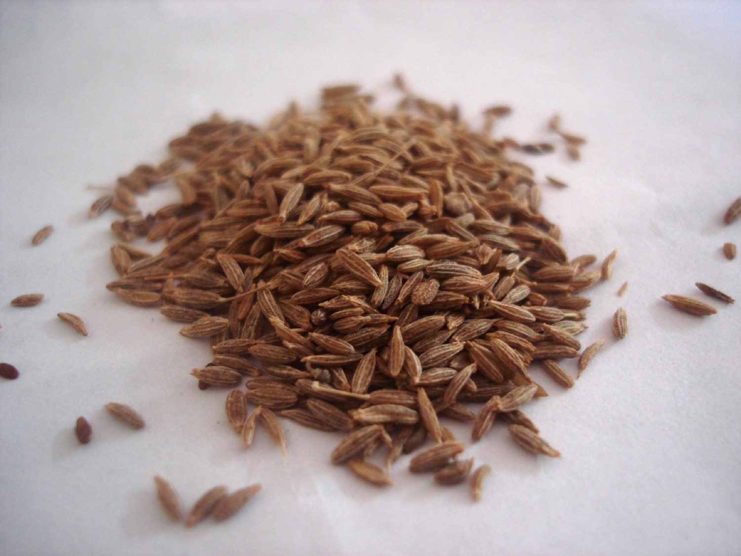 Cumin Seeds — Singapore Quality — Devanshi Tradeables export-grade
