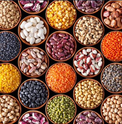 Agro Commodities — Premium quality crops from farm to global table