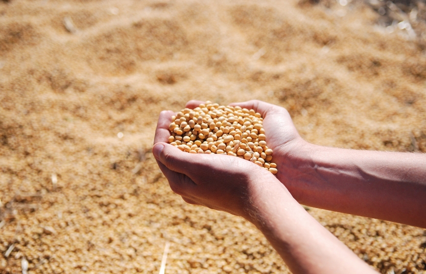 The Rising Demand for Premium Agro Commodities in Global Markets