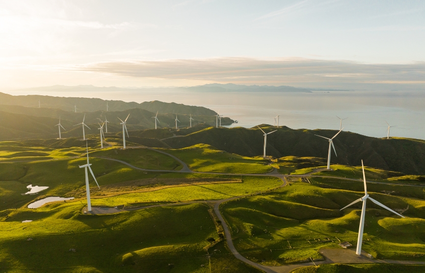 The Role of Sustainable Sourcing in Agro Trading