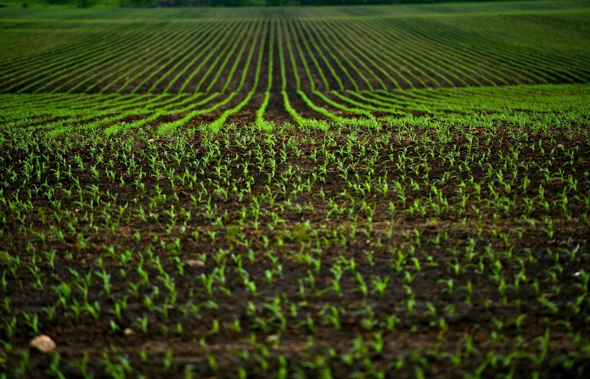 Why Consistent Supply is Key to a Successful Agro Business