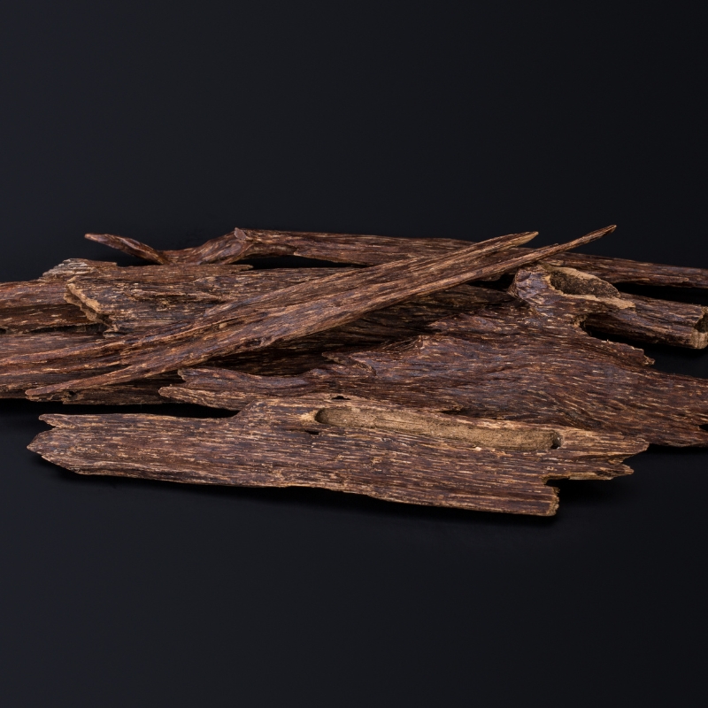 Agarwood