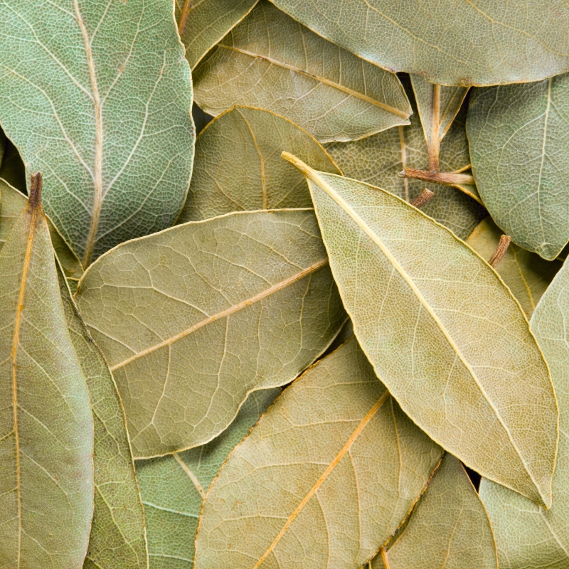 Bay Leaves