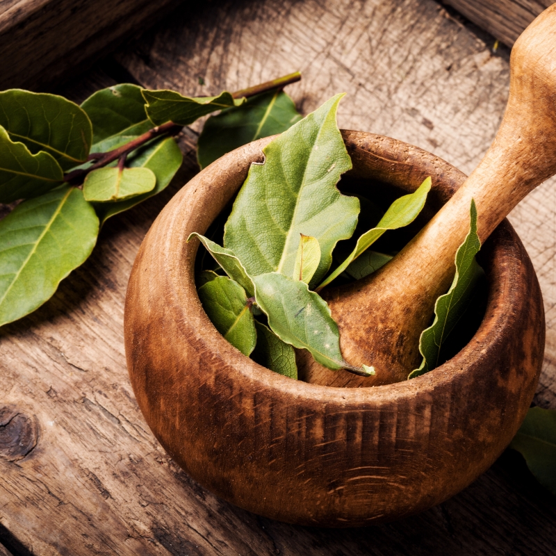 Bay Leaves