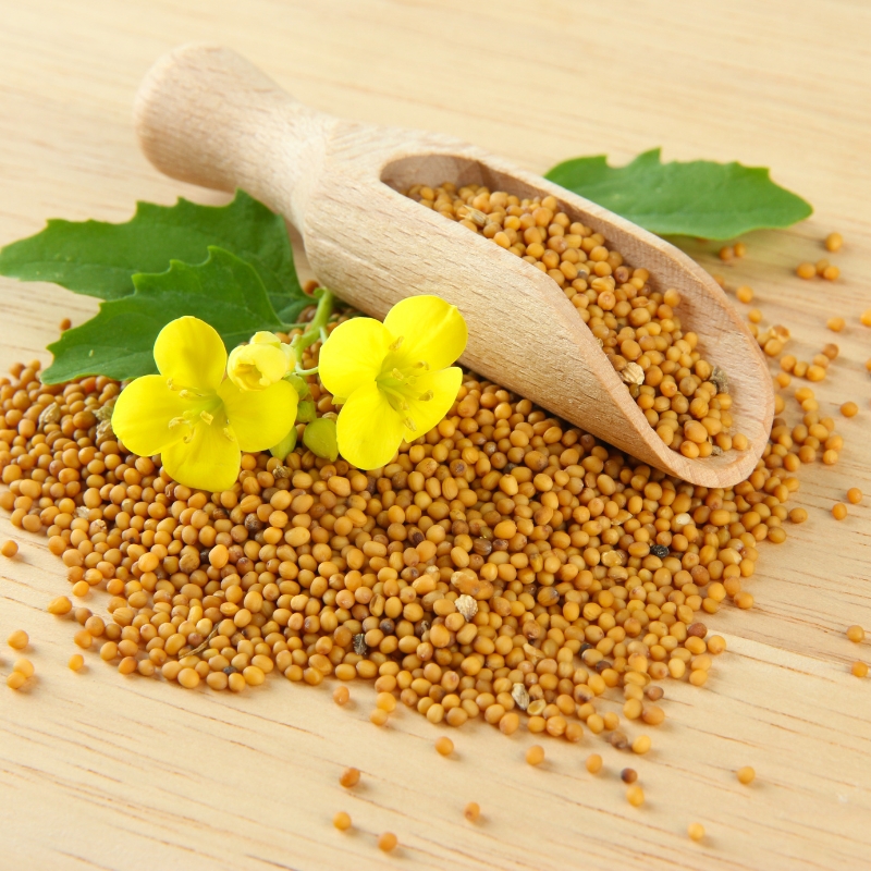 Mustard Seeds
