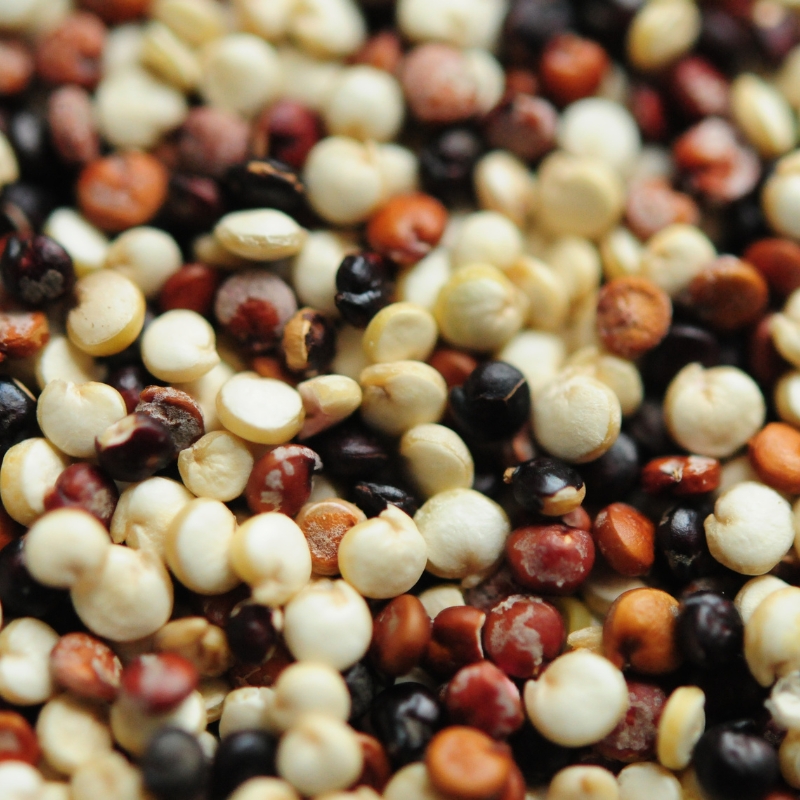Quinoa Seeds